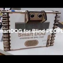 dCO smartDOG for BlindPEOPLE 2018 1 1280x720